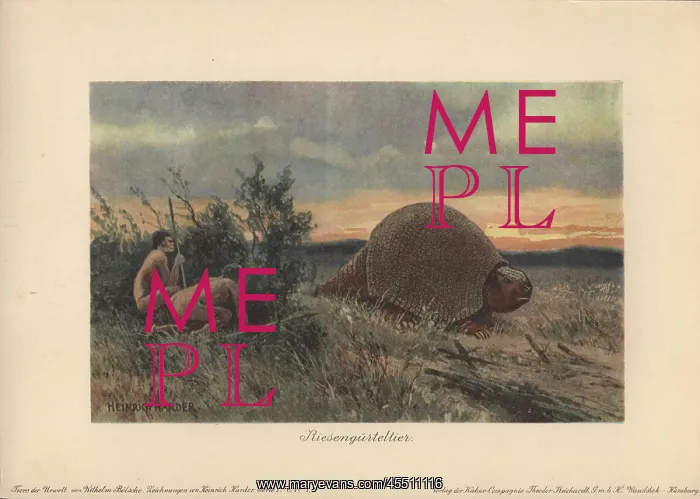 : Primitive men with spears hunting a glyptodon : Primitive men with spears hunting a glyptodon