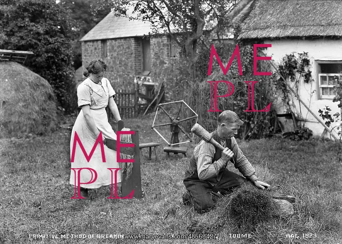 : Primitive Method of Breaking Flax for Hand Scutching, Toome : Primitive Method of Breaking Flax for Hand Scutching, Toome