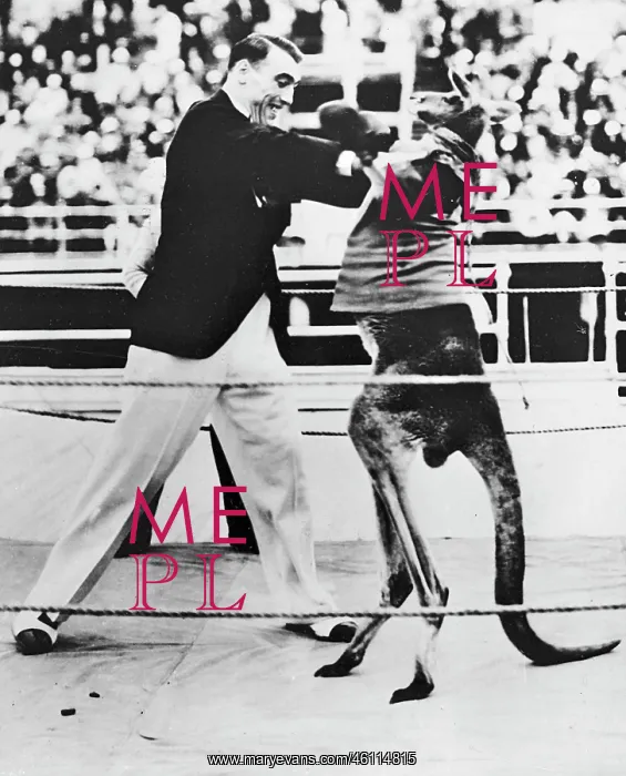 : Primo Carnera with a kangaroo : Primo Carnera with a kangaroo