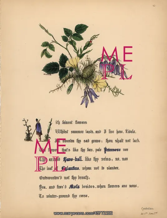 : Primrose, Hare-bell, Eglantine and Moss (Cymbeline) : Primrose, Hare-bell, Eglantine and Moss (Cymbeline)