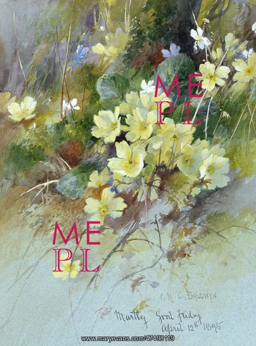 : Primroses with Blue and White Violets : Primroses with Blue and White Violets