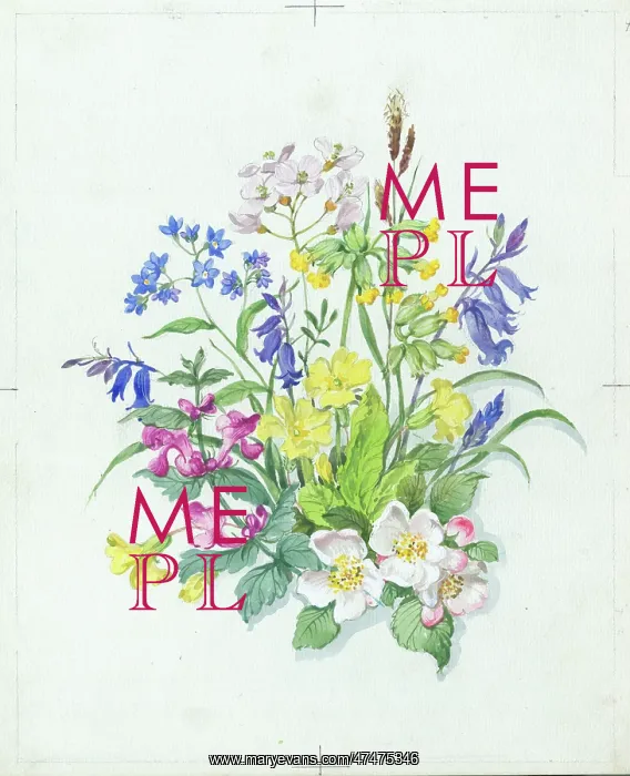  : Primroses, cowslips, bluebells, forget-me-nots etc