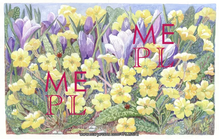  : Primroses and crocuses with ladybirds