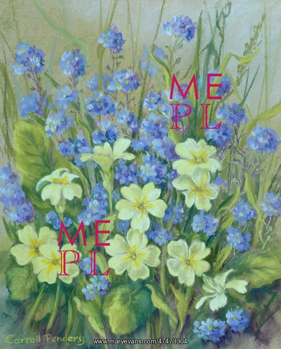  : Primroses and Forget-me-Nots