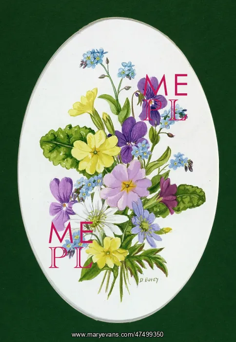 : Primroses, forget-me-nots, anemones, etc : Primroses, forget-me-nots, anemones, etc
