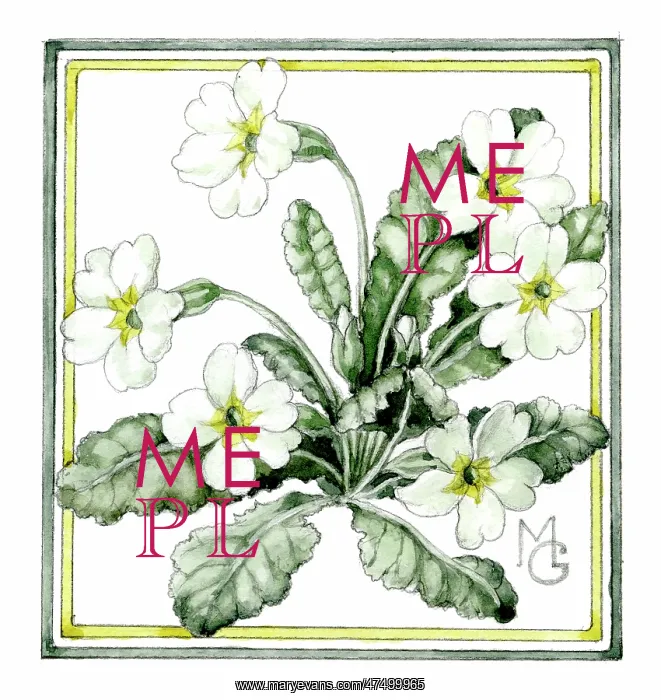  : Primroses - in green and gold
