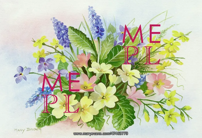  : Primroses, hyacinths, etc
