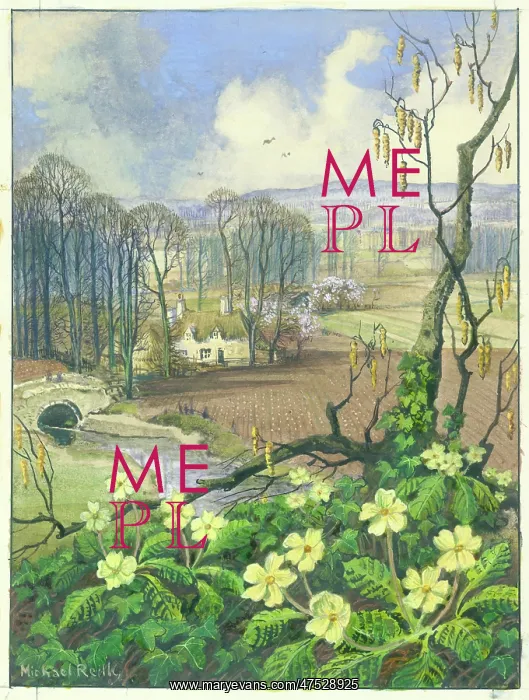 : Primroses with spring landscape beyond : Primroses with spring landscape beyond