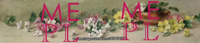  : Primroses and violets