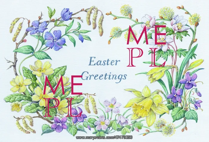 : Primroses, violets, daffodils, periwinkles, etc : Primroses, violets, daffodils, periwinkles, etc