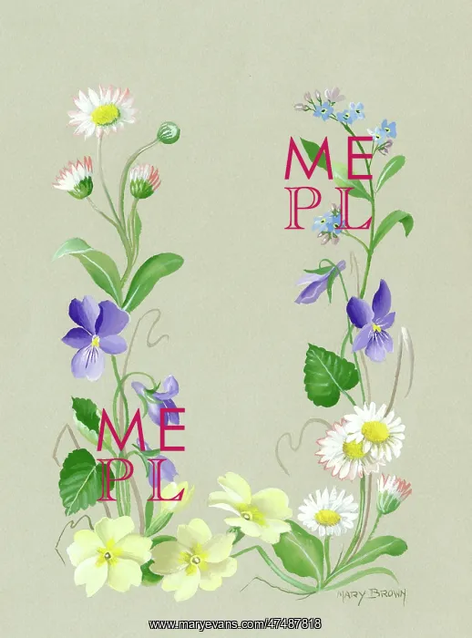  : Primroses, violets, daisies and forget-me-nots