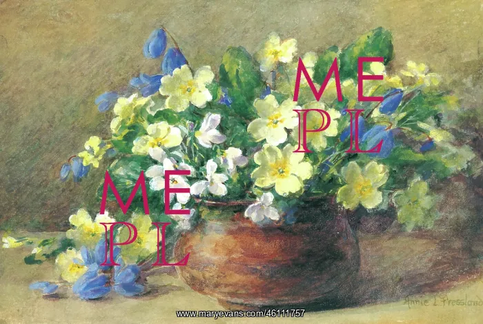  : Primroses, Violets & Scillas