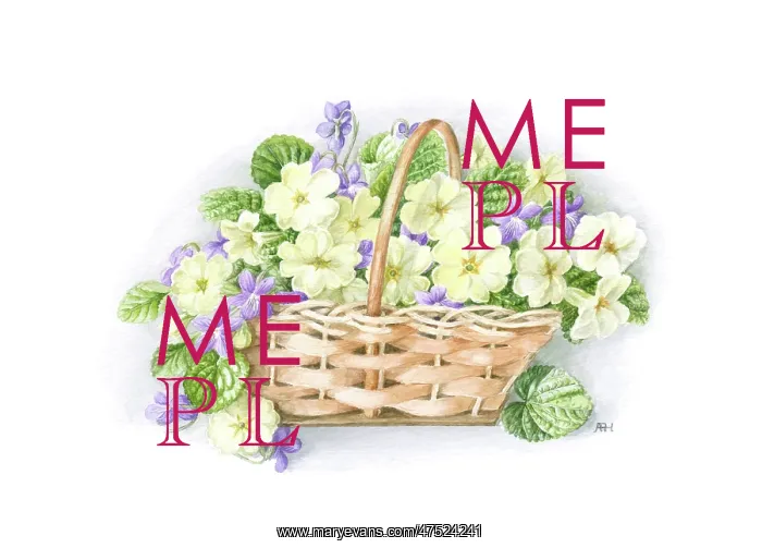  : Primroses and Violets in a small Basket