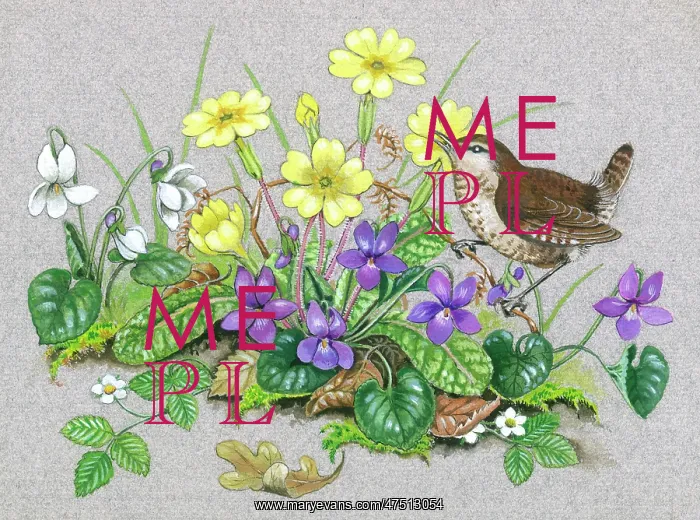  : Primroses and violets with wren