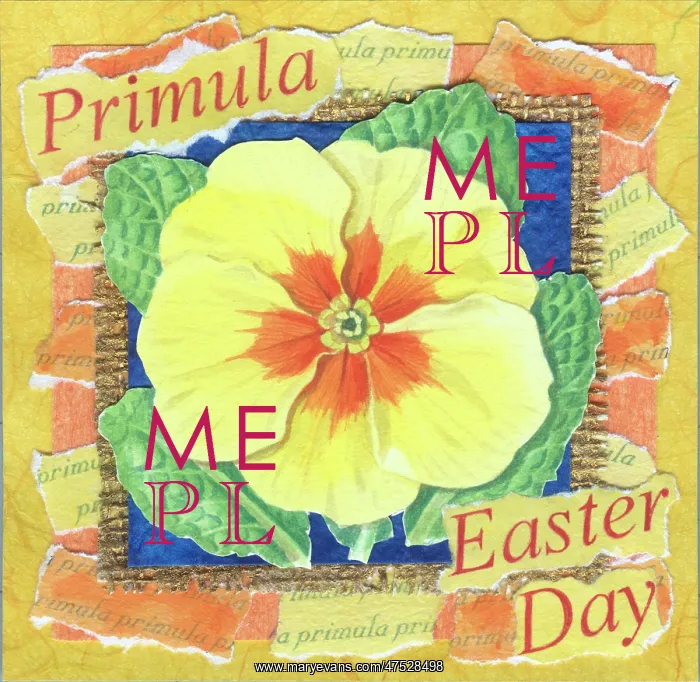  : Primula with Easter Day