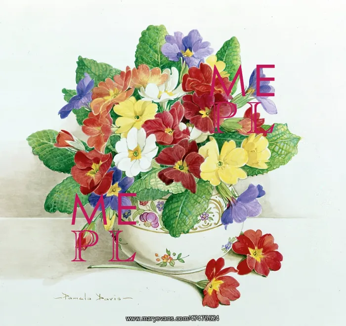  : Primulas in a bowl
