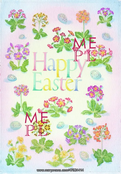  : Primulas and speckled eggs