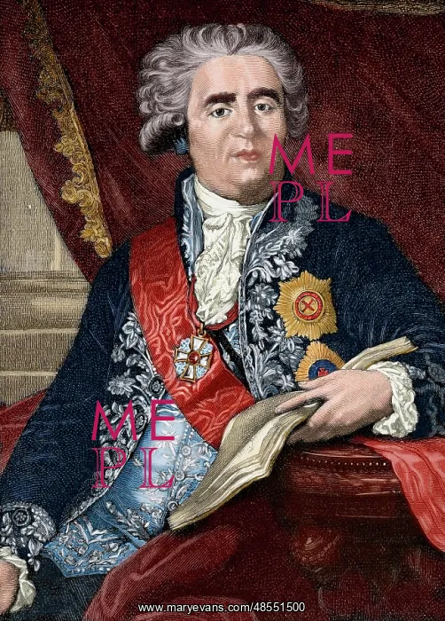 : Prince Alexander Bezborodko (1747-1799). Engraving. Colored : Prince Alexander Bezborodko (1747-1799). Engraving. Colored
