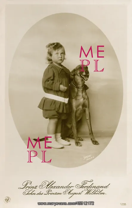 : Prince Alexander Ferdinand of Prussia : Prince Alexander Ferdinand of Prussia