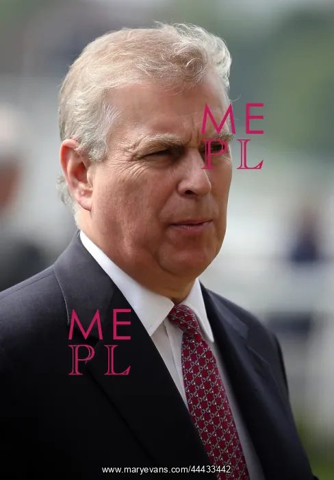 : Prince Andrew Duke Of York : Prince Andrew Duke Of York