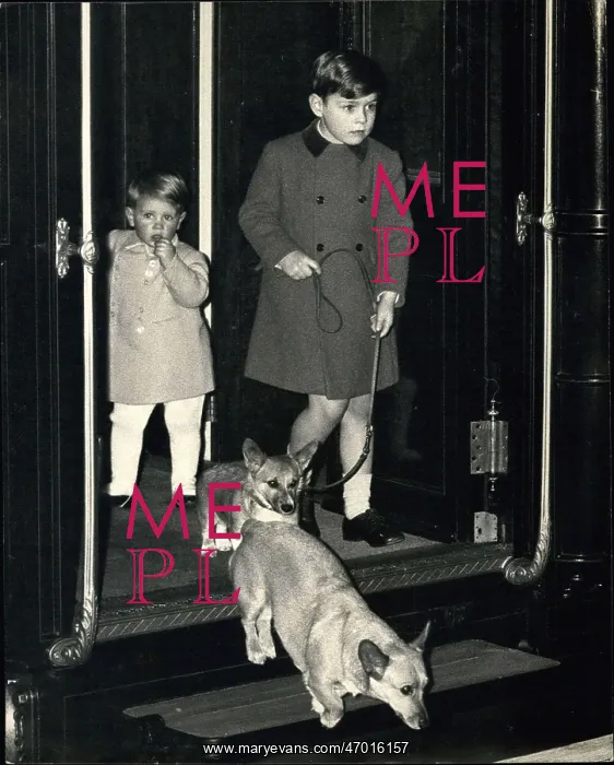 : Prince Andrew, Prince Edward, and two corgis : Prince Andrew, Prince Edward, and two corgis