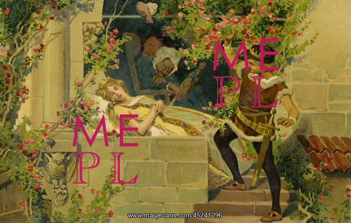  : The Prince awakens Sleeping Beauty