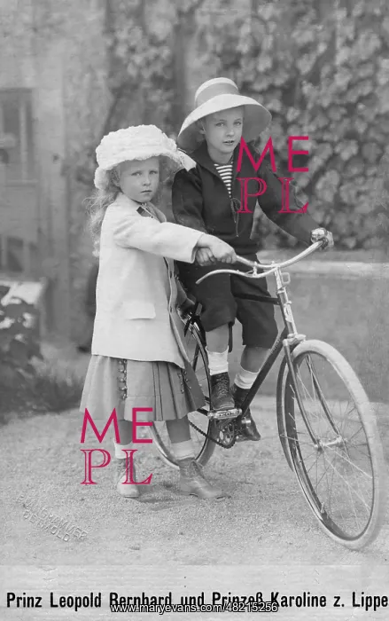 : Prince Bernhard of Lippe-Biesterfeld : Prince Bernhard of Lippe-Biesterfeld