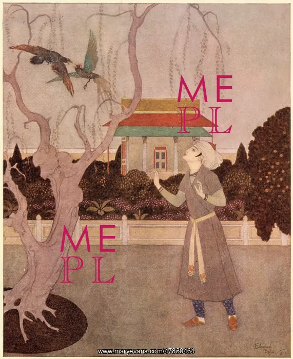 : Prince Camaralzaman and the Birds : Prince Camaralzaman and the Birds