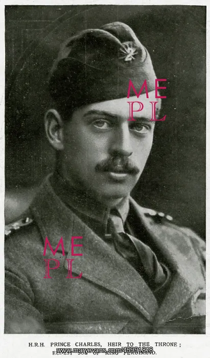 : Prince Carol of Romania : Prince Carol of Romania