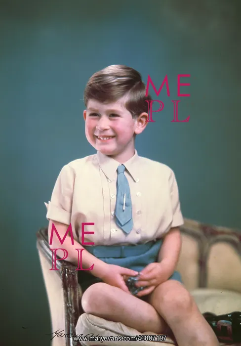 : Prince Charles : Prince Charles