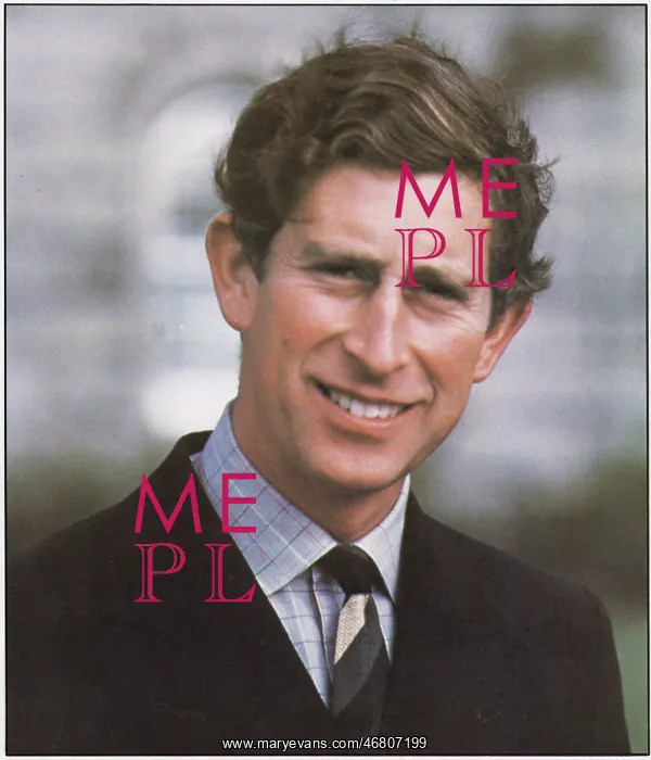 : Prince Charles : Prince Charles