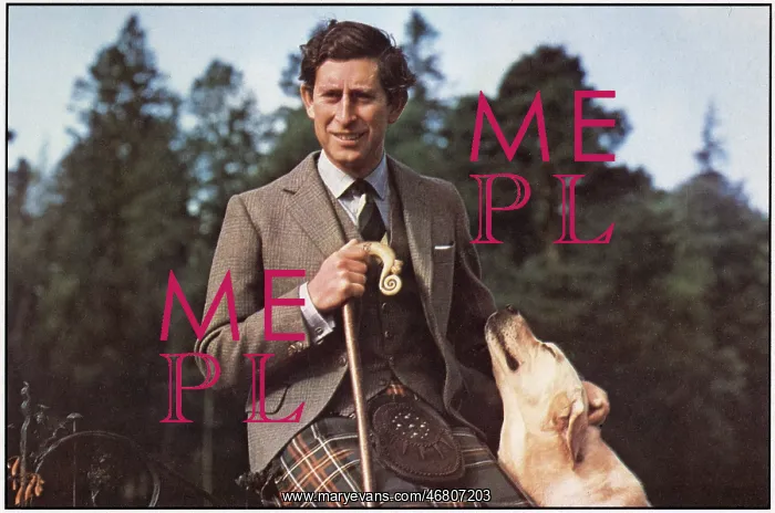 : Prince Charles : Prince Charles