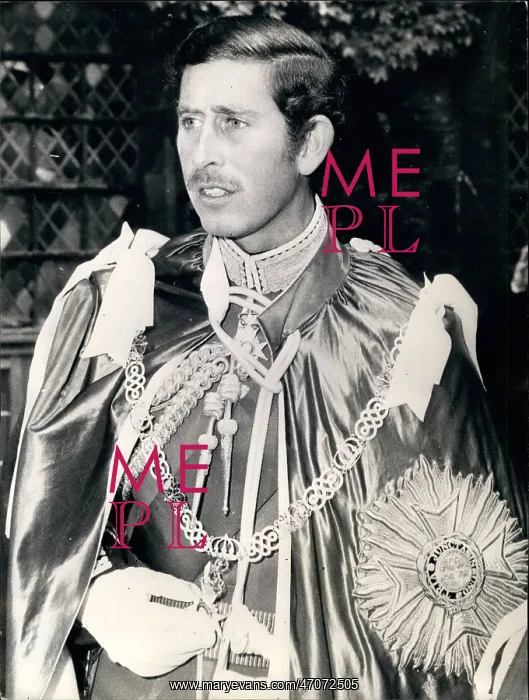 : Prince Charles, Order of the Bath, Westminster Abbey : Prince Charles, Order of the Bath, Westminster Abbey