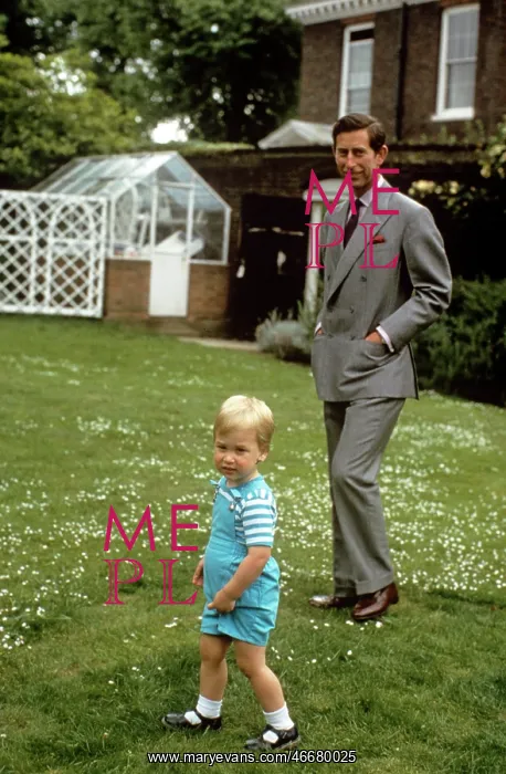 : Prince Charles and William in a garden : Prince Charles and William in a garden