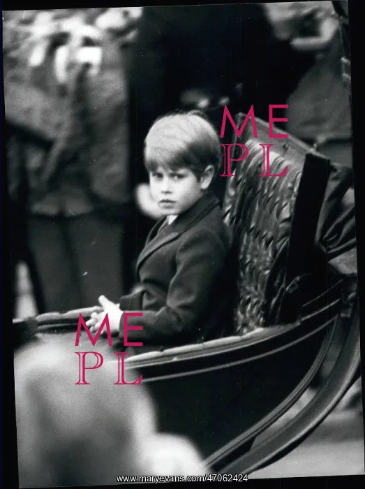 : Prince Edward as a young boy : Prince Edward as a young boy