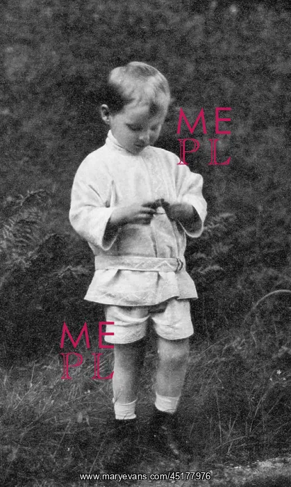 : Prince George Donatus of Hesse : Prince George Donatus of Hesse