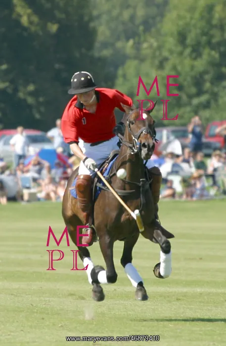  : Prince Harry in action