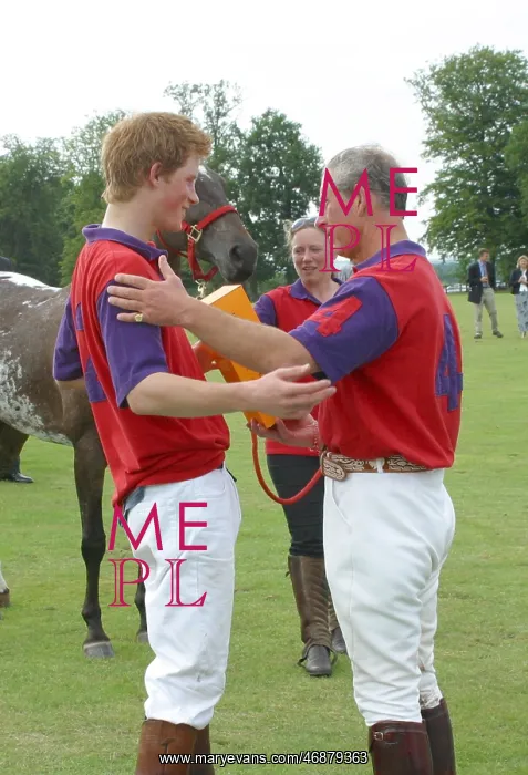  : Prince Harry and Prince Charles