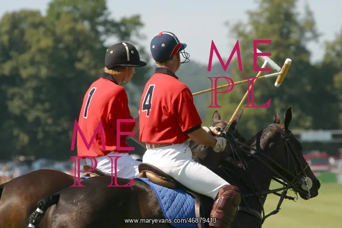  : Prince Harry and Prince Charles at Cowdray