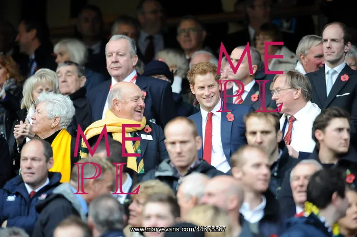 : Prince Harry at a rugby match, Twickenham : Prince Harry at a rugby match, Twickenham