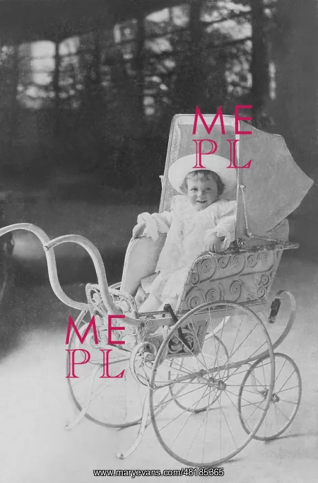 : Prince Luitpold of Bavaria in a pram, 1902 : Prince Luitpold of Bavaria in a pram, 1902