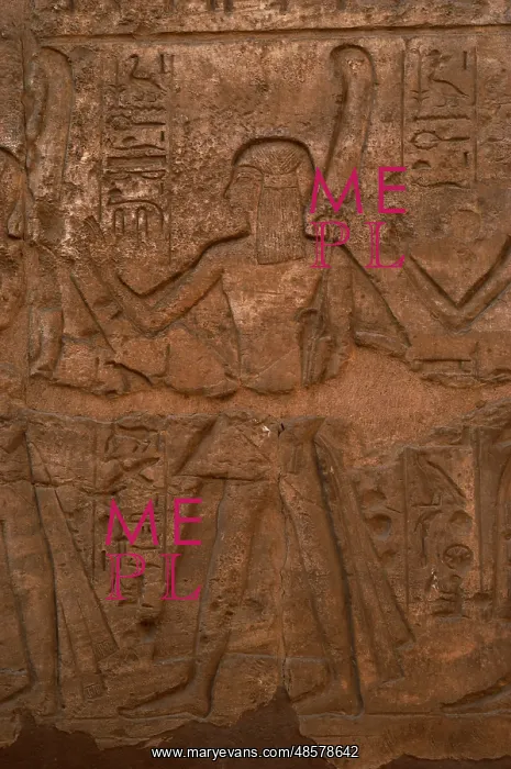 : A Prince with an ostrich feather as an offering. Relief. Lux : A Prince with an ostrich feather as an offering. Relief. Lux