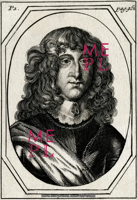 : Prince Rupert of the Rhine - Royalist Commander : Prince Rupert of the Rhine - Royalist Commander