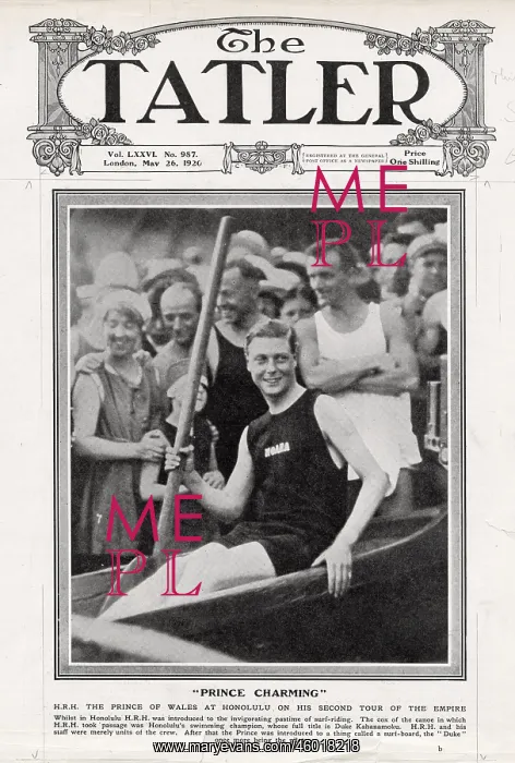 : The Prince of Wales : The Prince of Wales