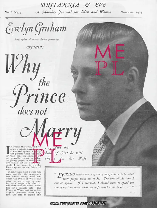 : The Prince of Wales : The Prince of Wales