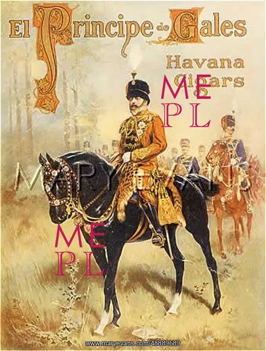 : PRINCE OF WALES CIGARS : PRINCE OF WALES CIGARS