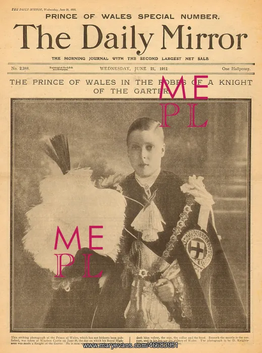 : Prince of Wales made Knight of the Garter : Prince of Wales made Knight of the Garter