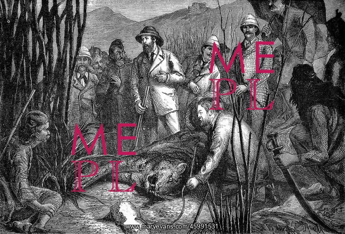 : The Prince of Wales after Shooting his First Tiger, 1877 : The Prince of Wales after Shooting his First Tiger, 1877