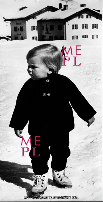: Prince Willem Alexander : Prince Willem Alexander