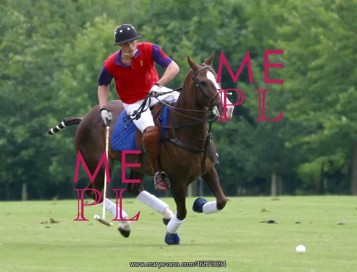  : Prince William at Ash Park
